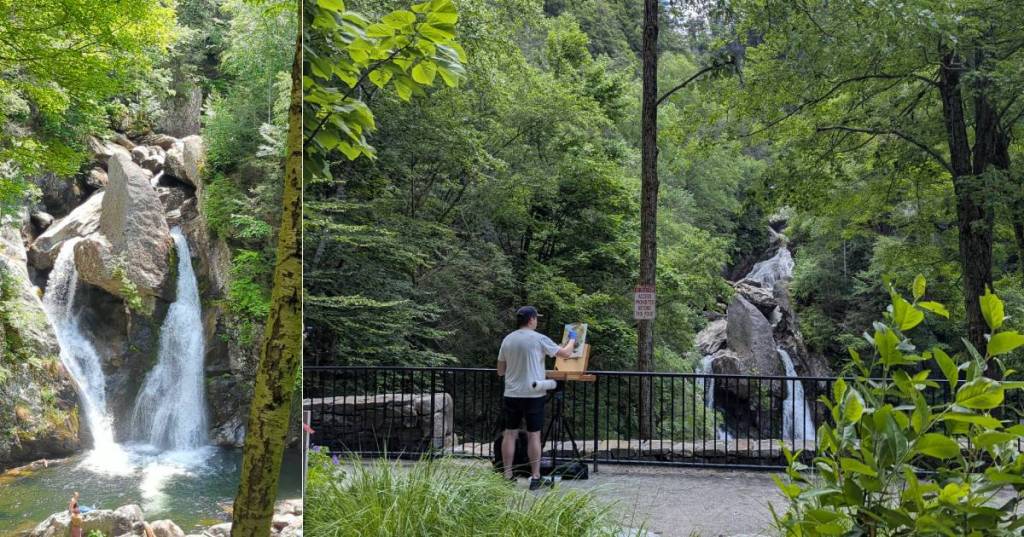 Bish Bash Falls - June 2025