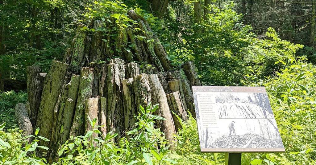 Charcoal making display at Copake Iron Works trail to Bish Bash Falls.