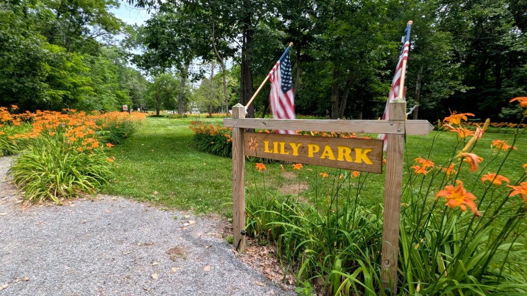 Lily Park Sign, Schoharie, NY
