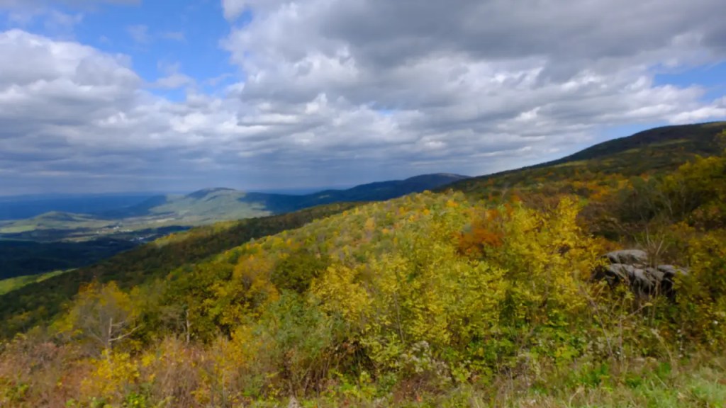 View from Skyline Drive Overlook