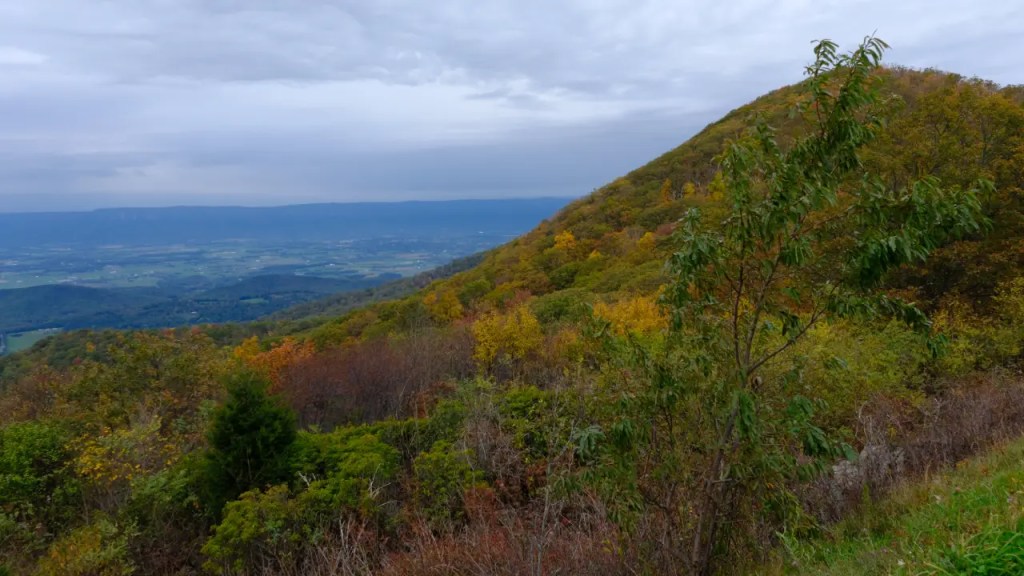 View from Skyline Drive Overlook with Fall Foliage.
