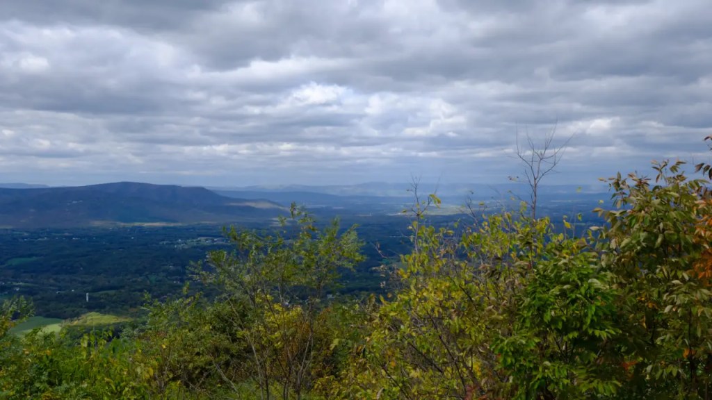 View from Skyline Drive Overlook