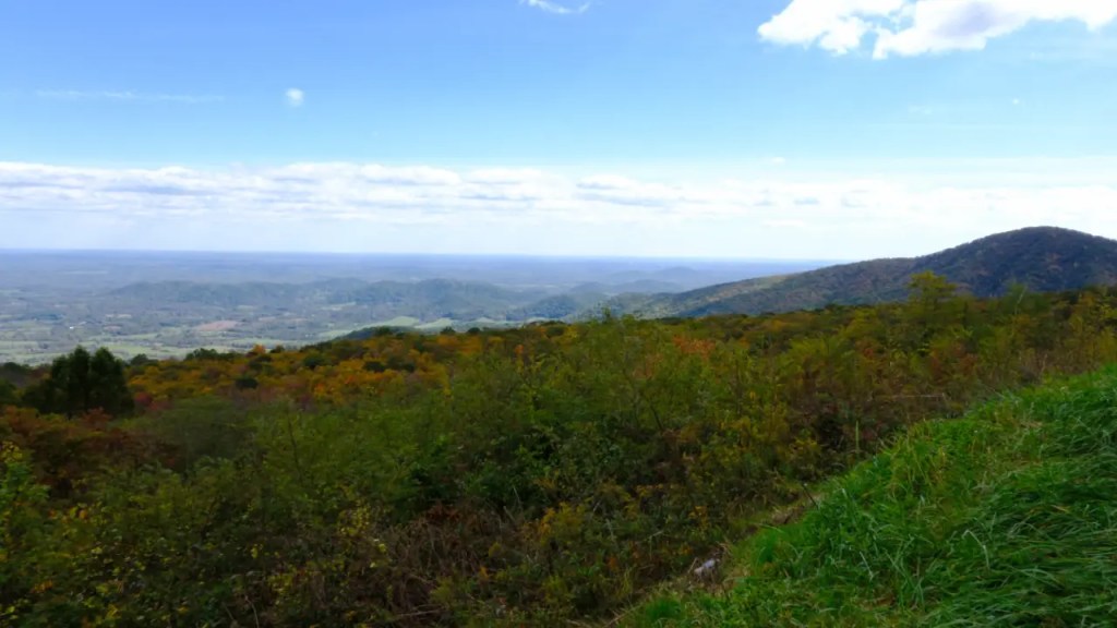 View from Skyline Drive Overlook