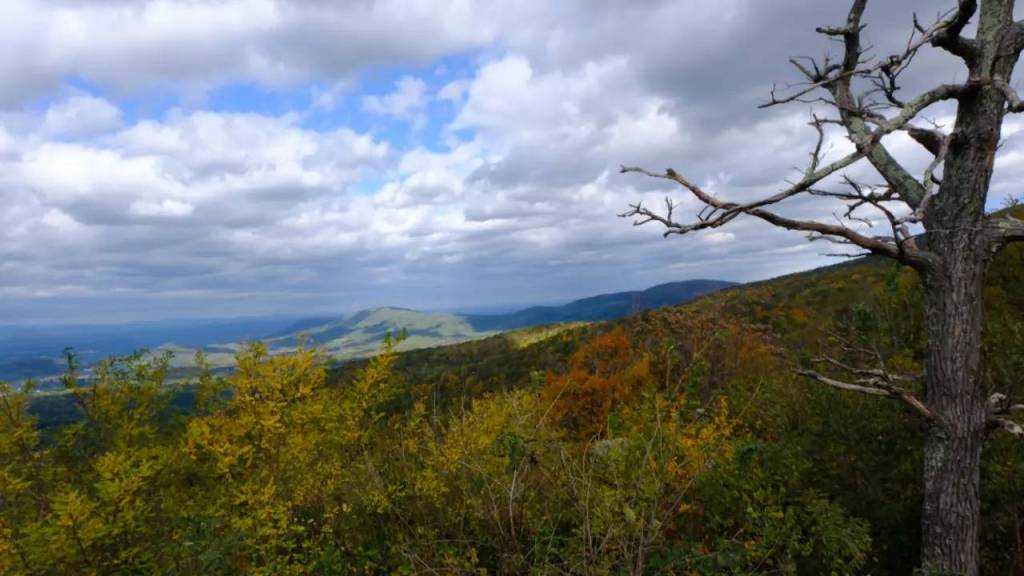 Exploring Skyline Drive,&nbsp;Virginia