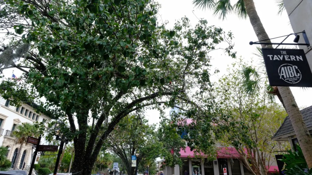 Amelia Island FL Business District