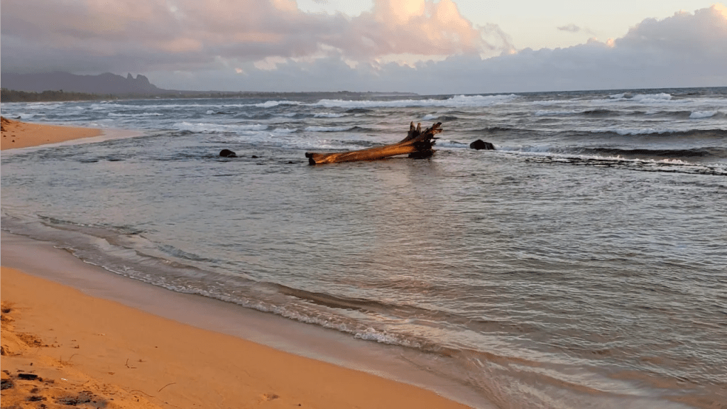 Beach at the Kauai Beach Resort (morning)
