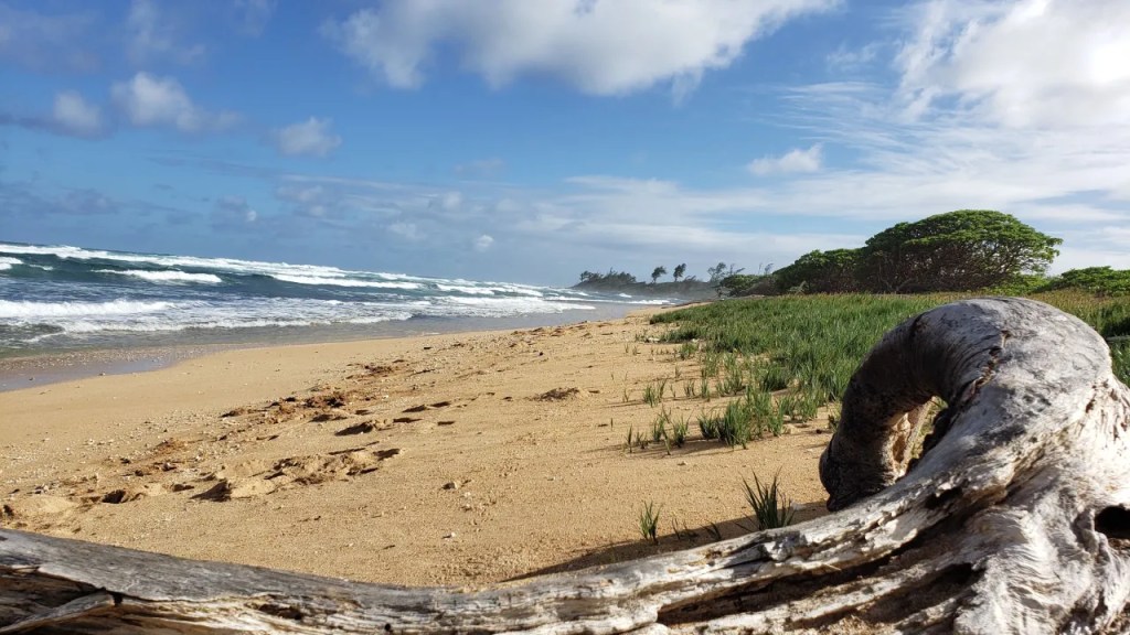 Kauai Beach Resort view of beach 