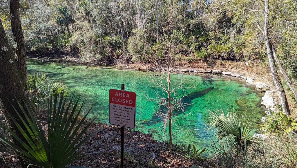 Overlook of the end of Blue Spring Park